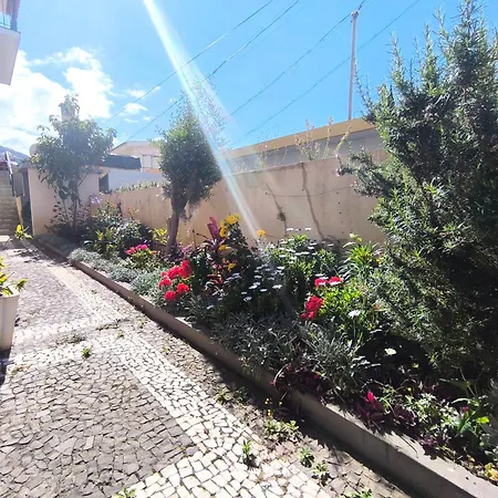 Telo Vila *